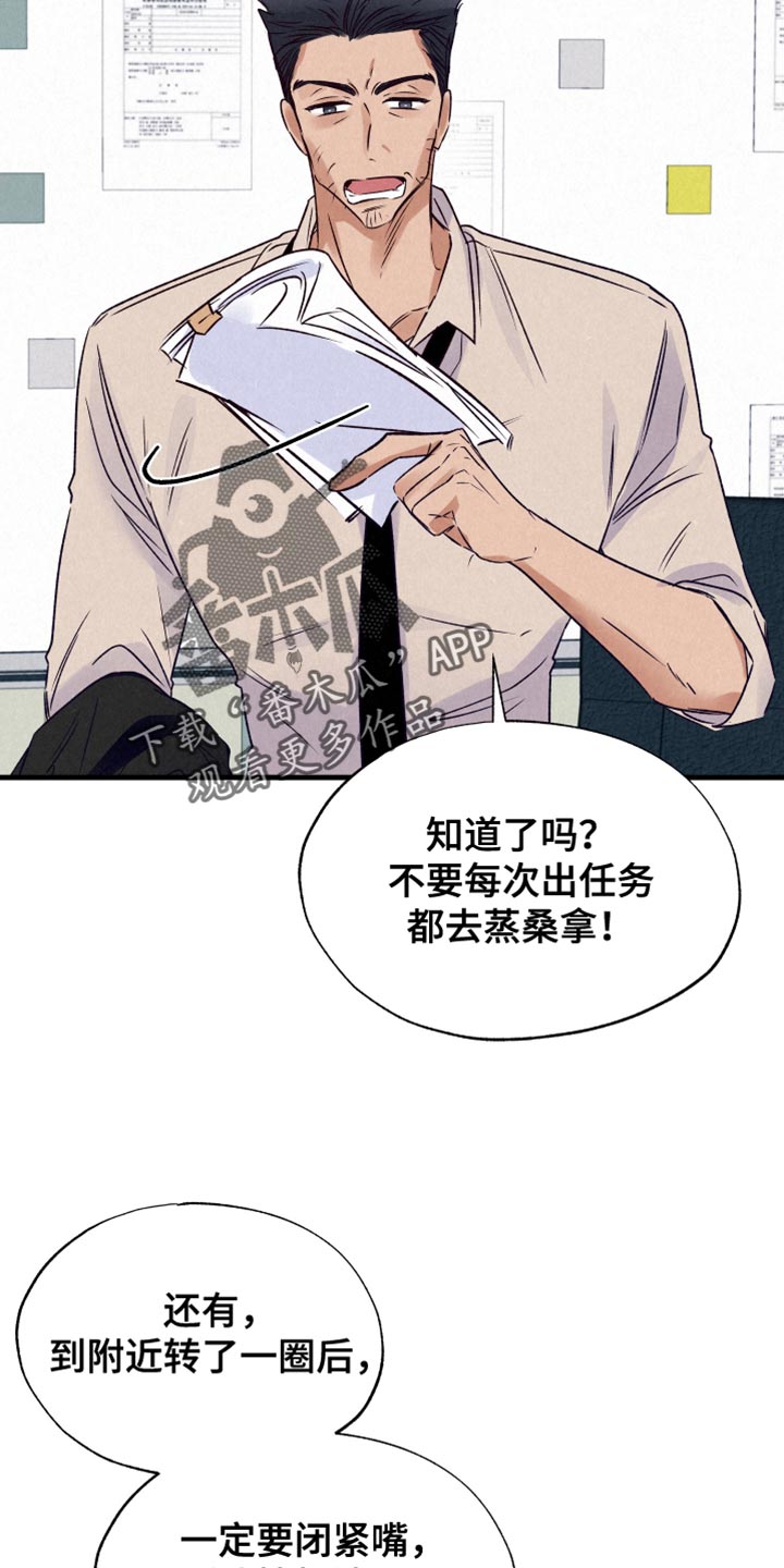 双重浪漫调查