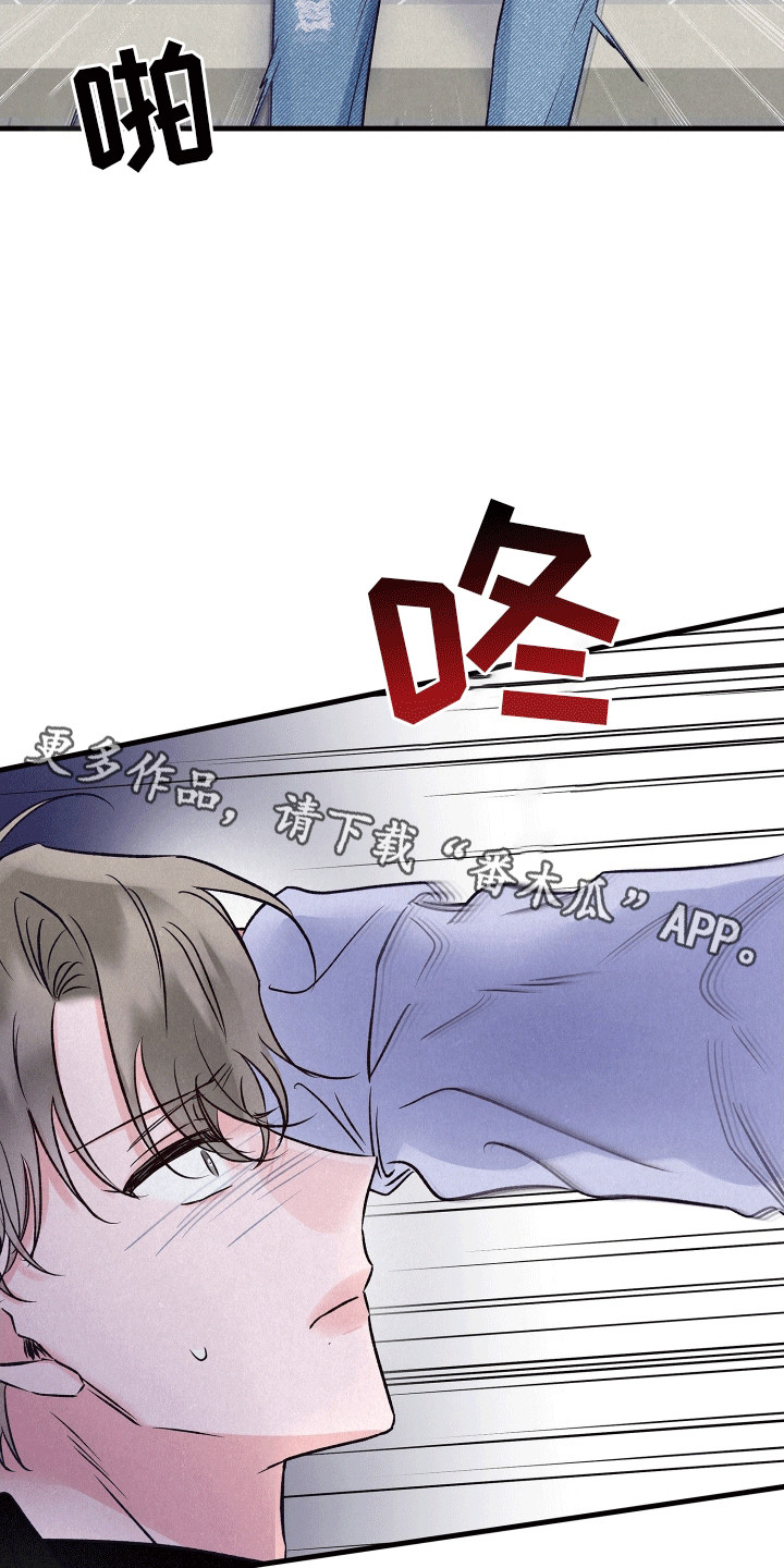 双重浪漫调查