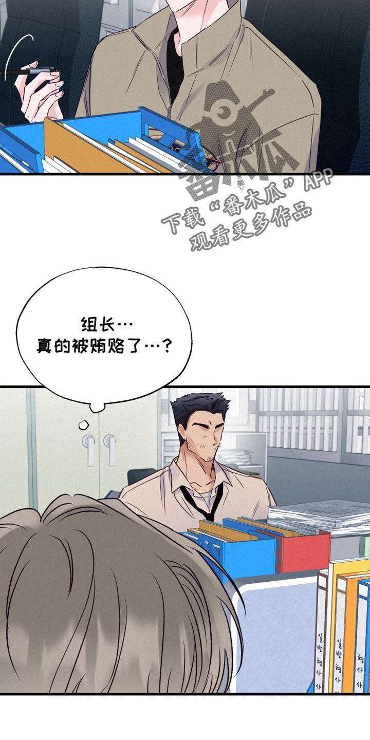 双重浪漫调查