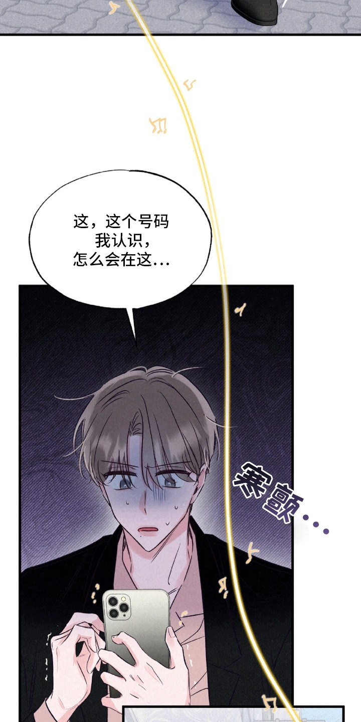 双重浪漫调查