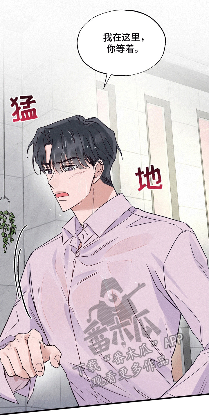 双重浪漫调查