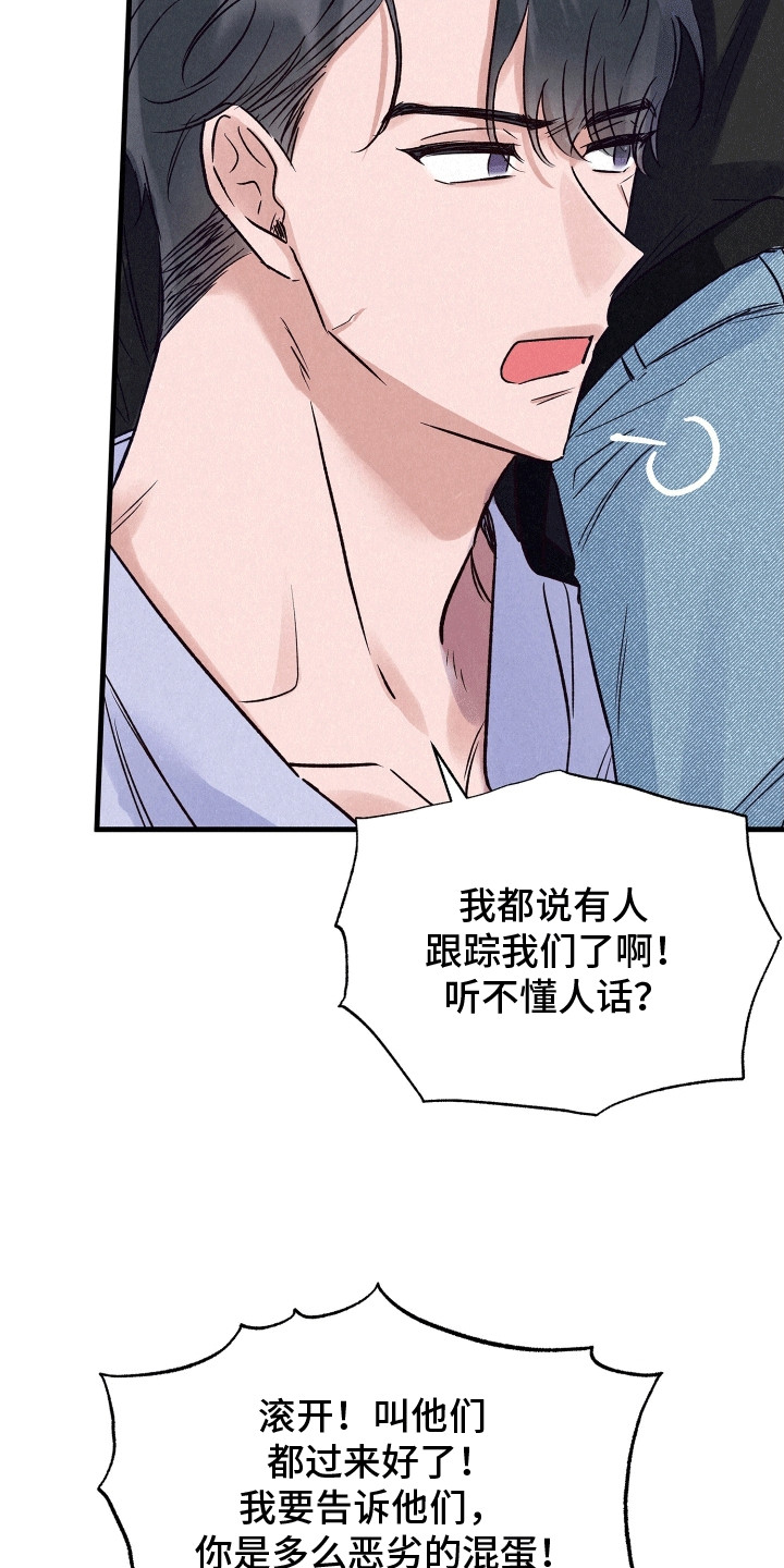 双重浪漫调查