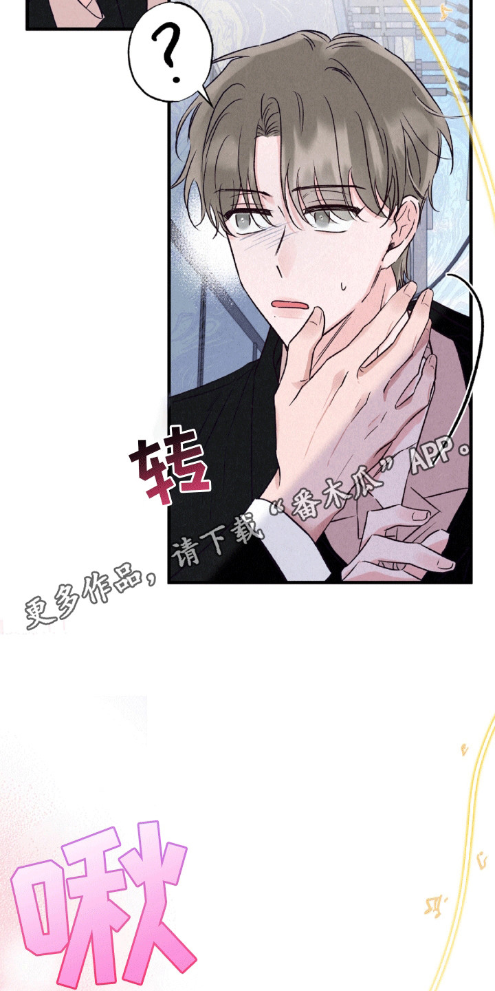 双重浪漫调查