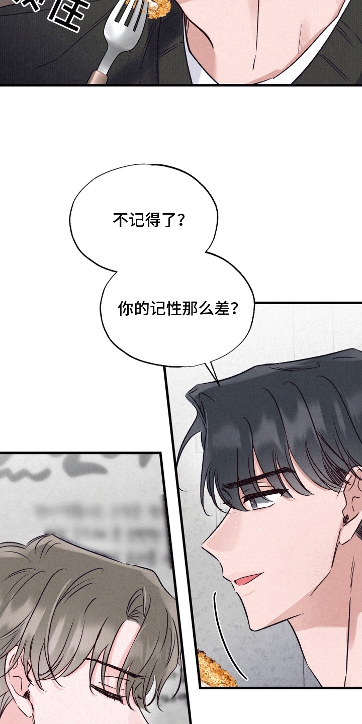 双重浪漫调查