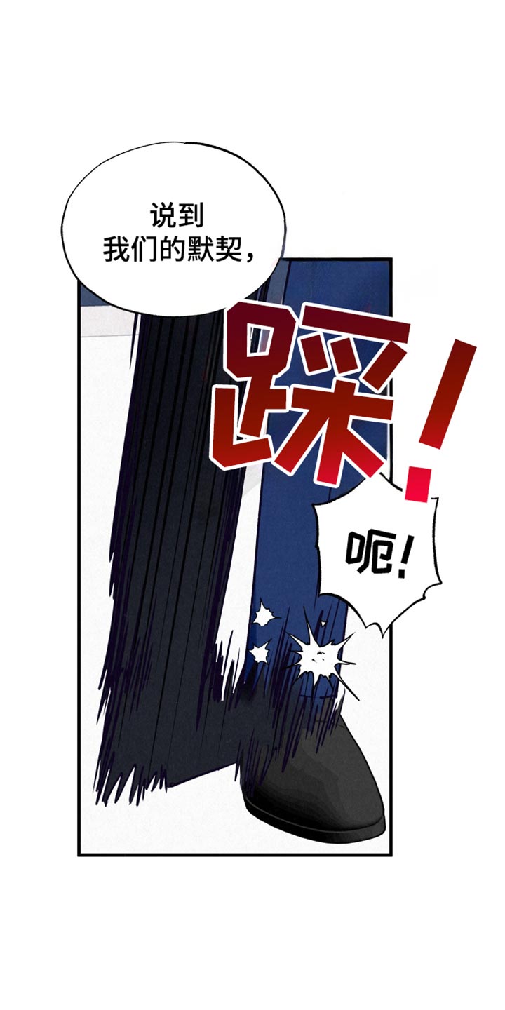 双重浪漫调查