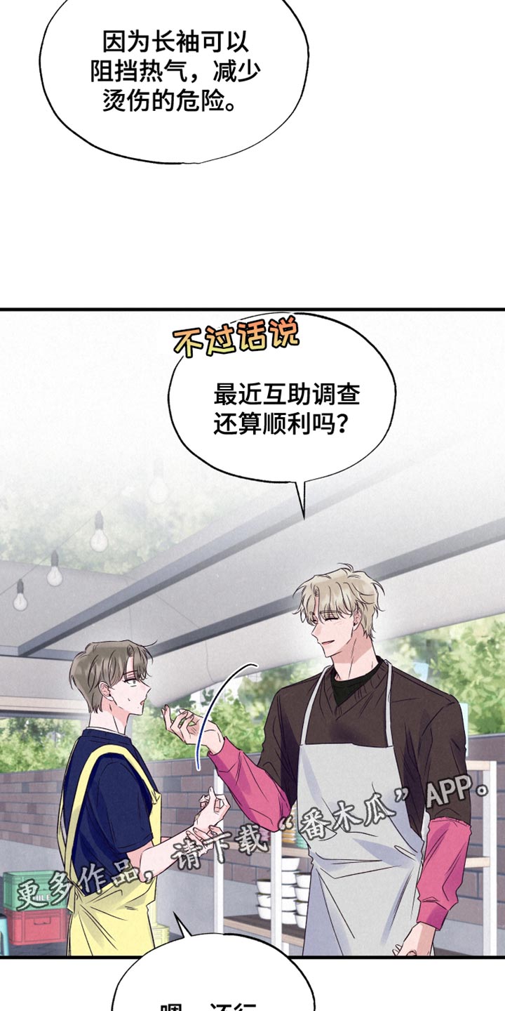 双重浪漫调查