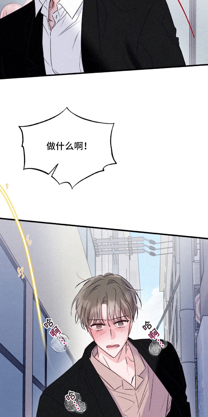双重浪漫调查