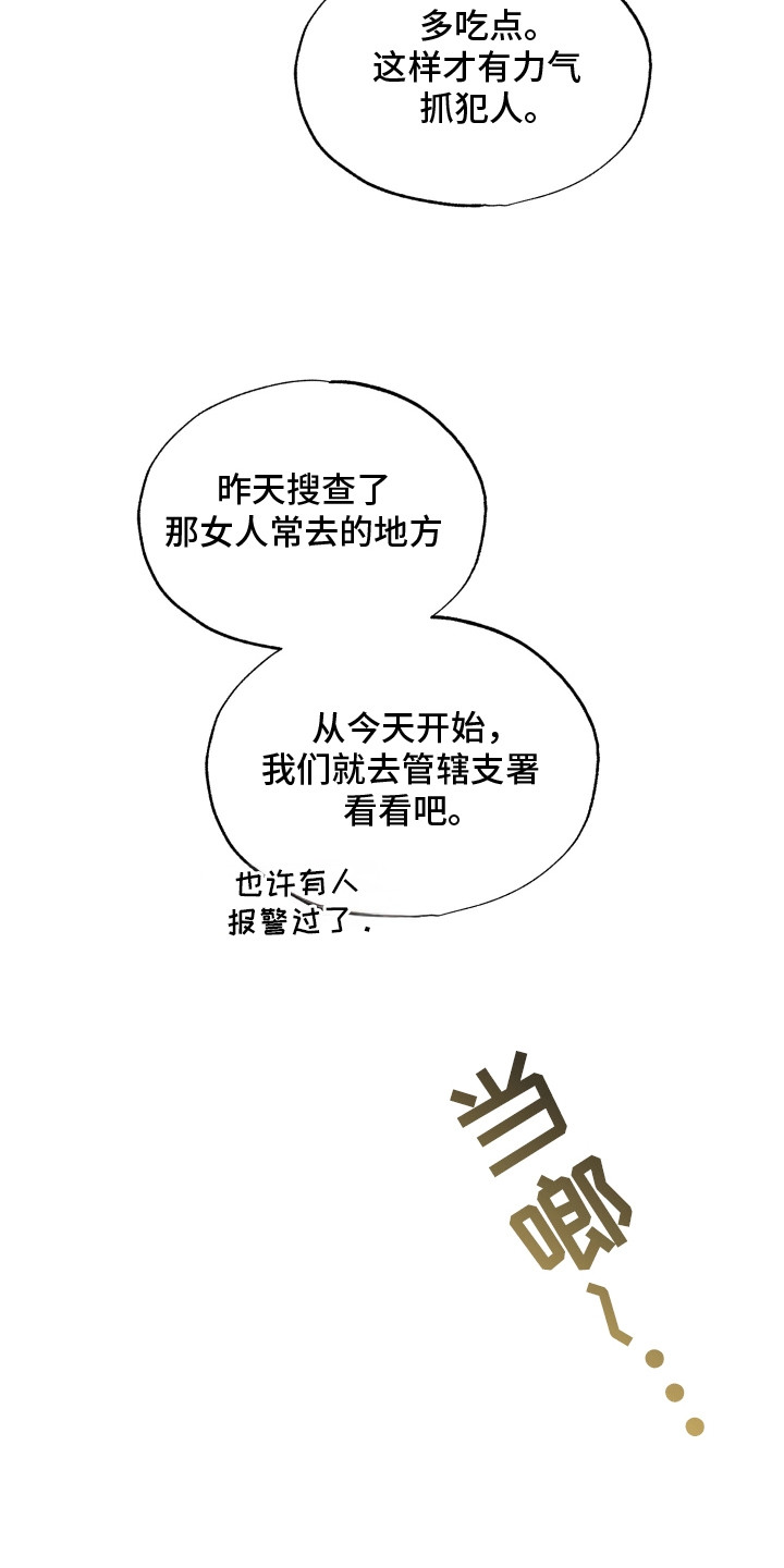 双重浪漫调查