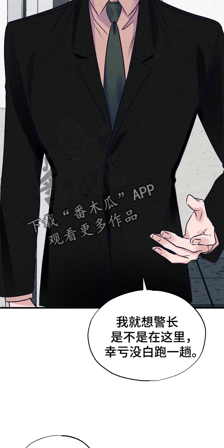 双重浪漫调查