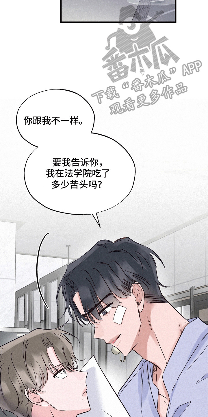 双重浪漫调查
