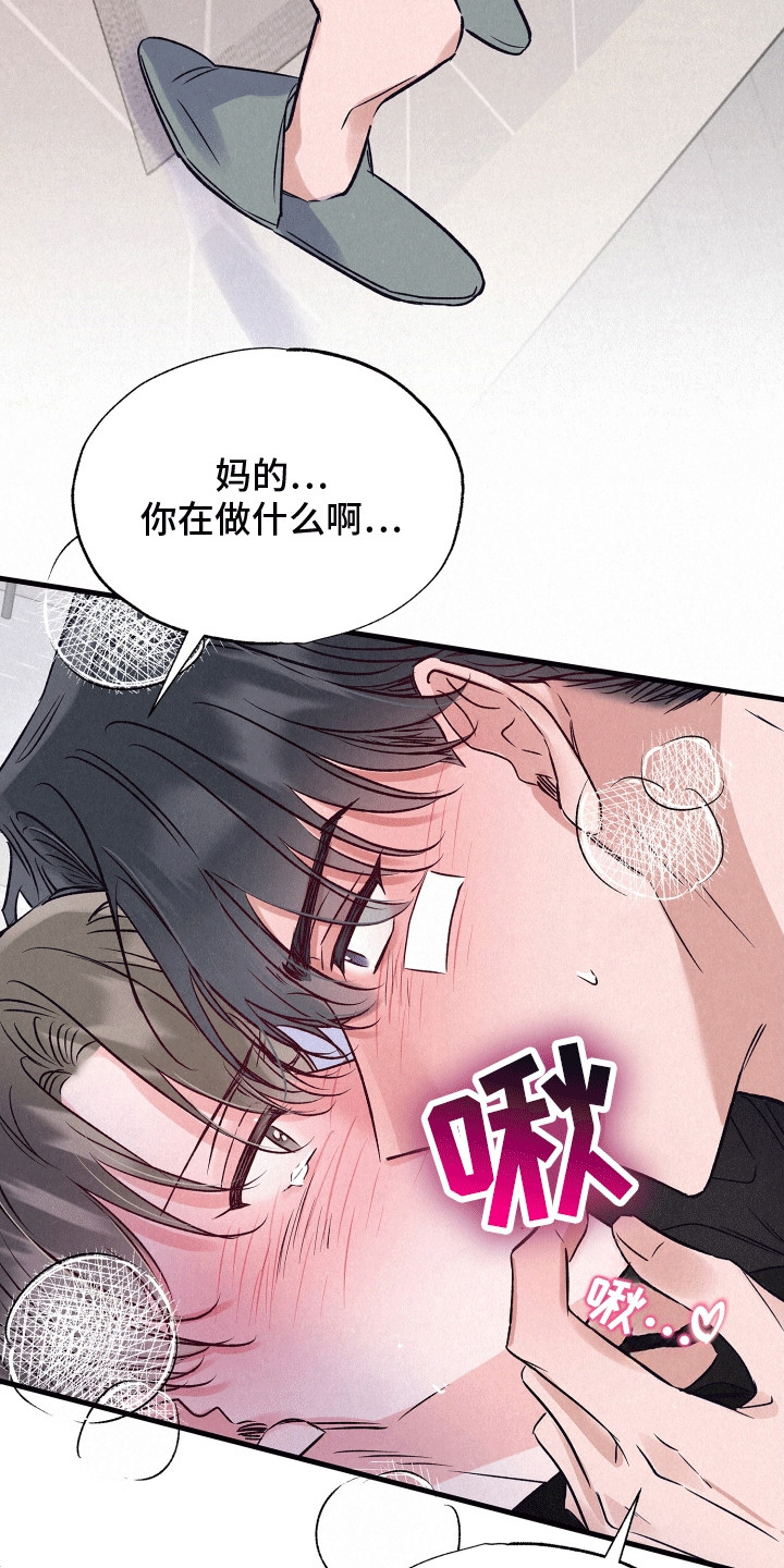 双重浪漫调查