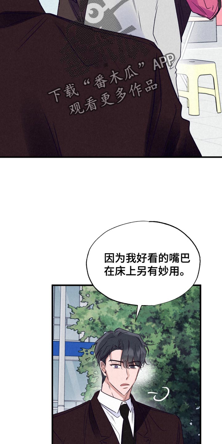 双重浪漫调查