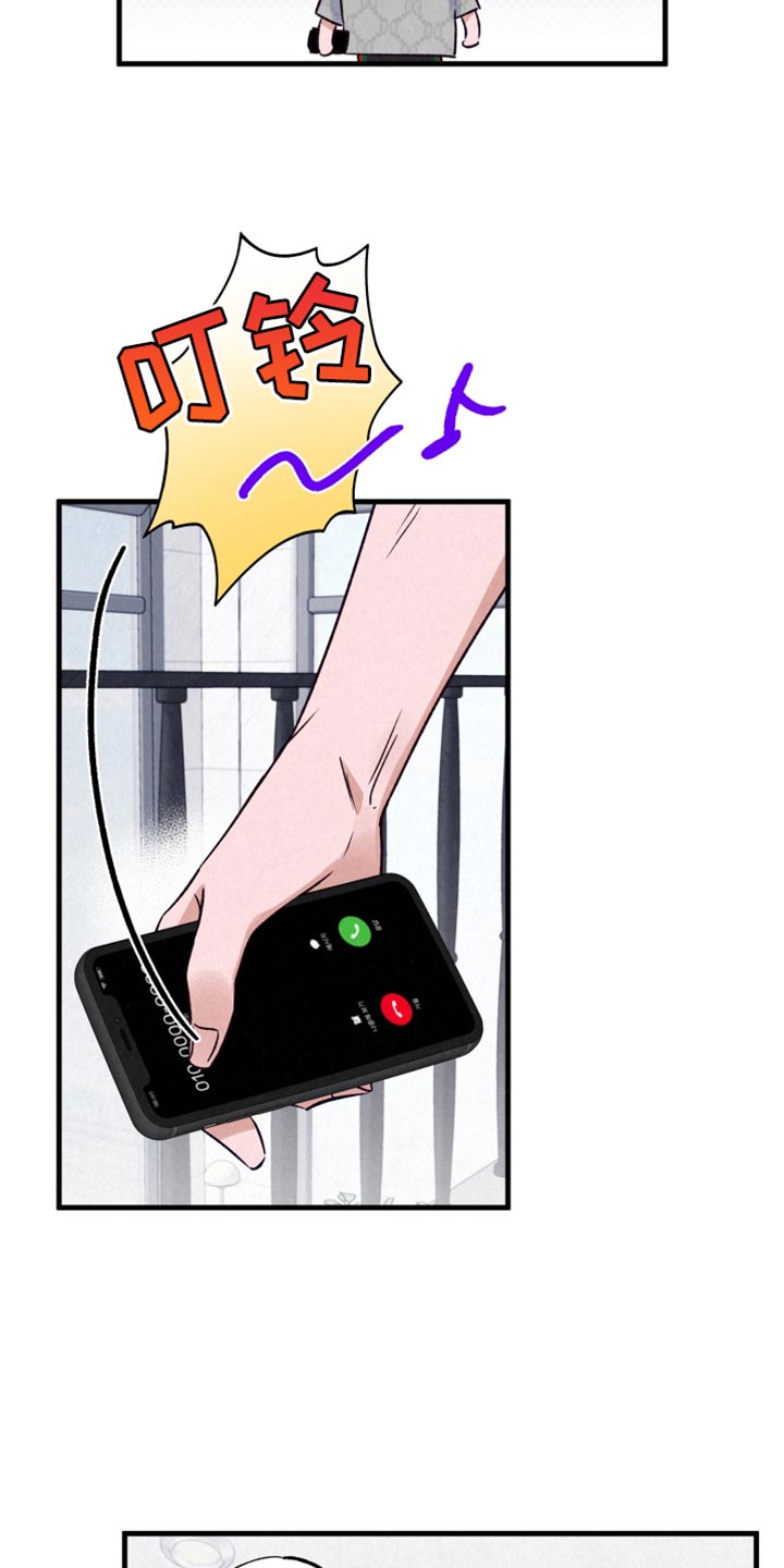 双重浪漫调查