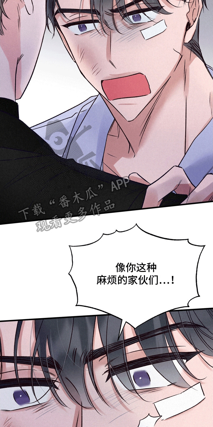 双重浪漫调查
