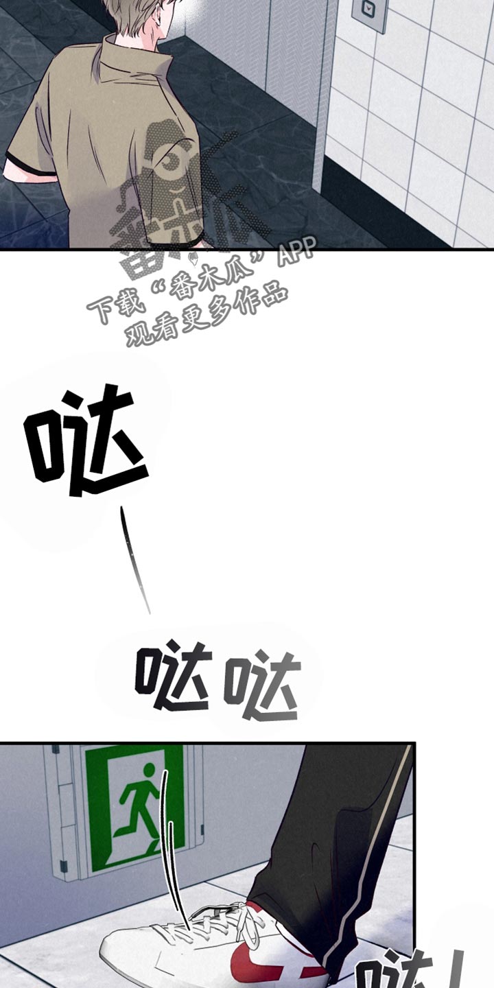 双重浪漫调查