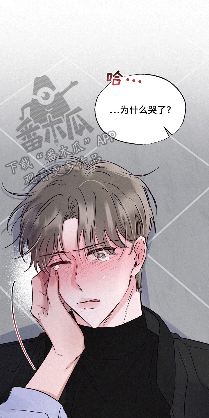 双重浪漫调查