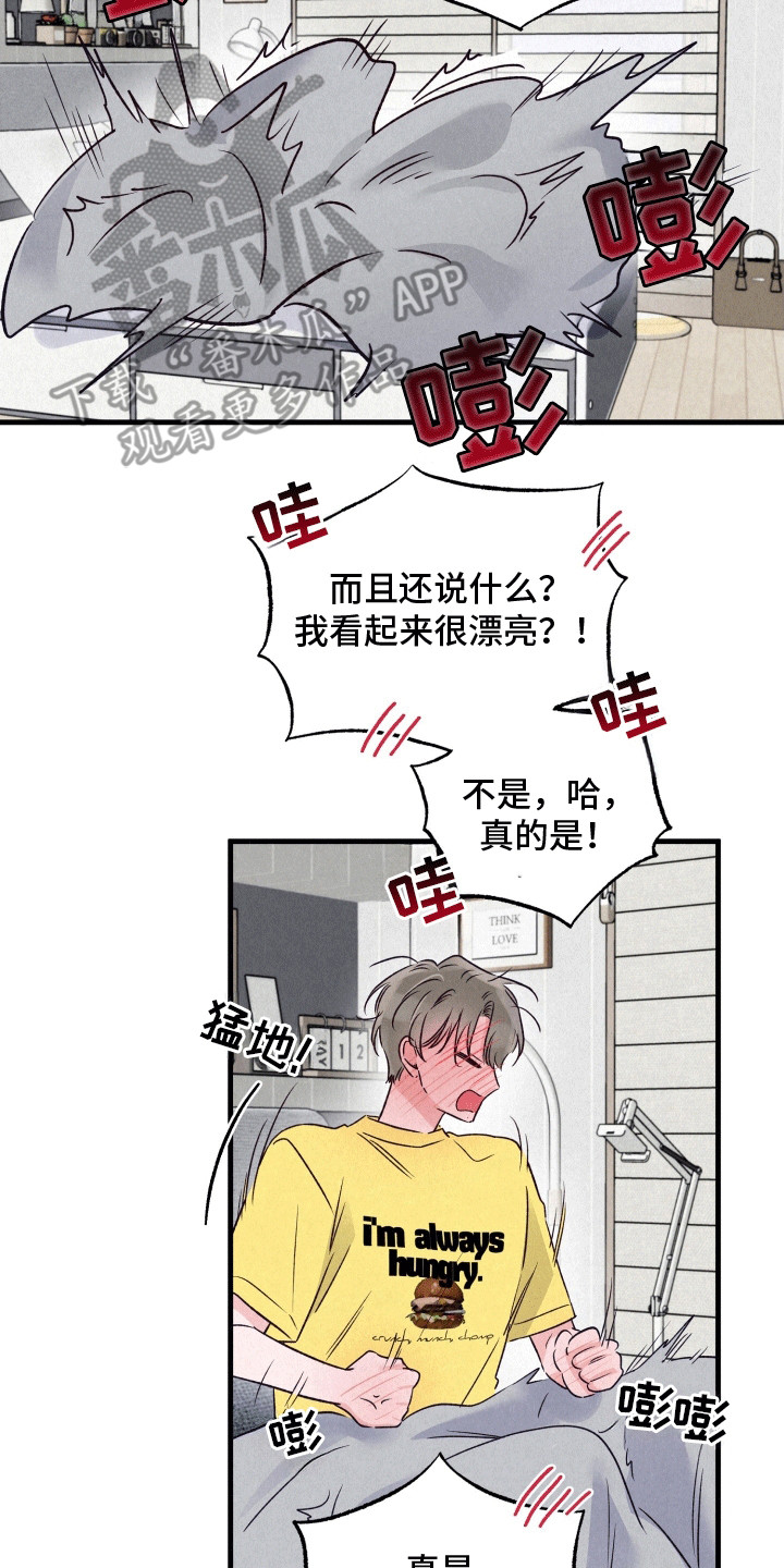 双重浪漫调查