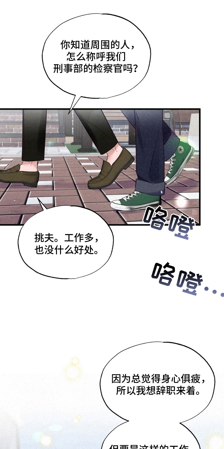 双重浪漫调查