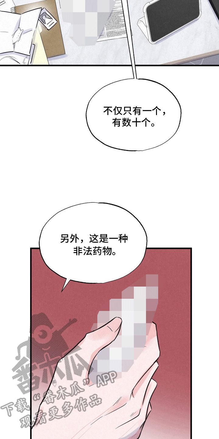 双重浪漫调查