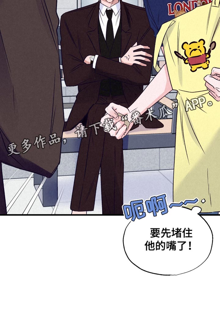 双重浪漫调查