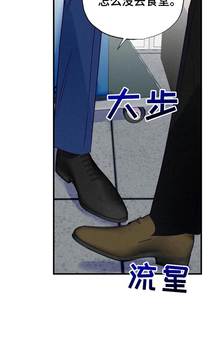 双重浪漫调查