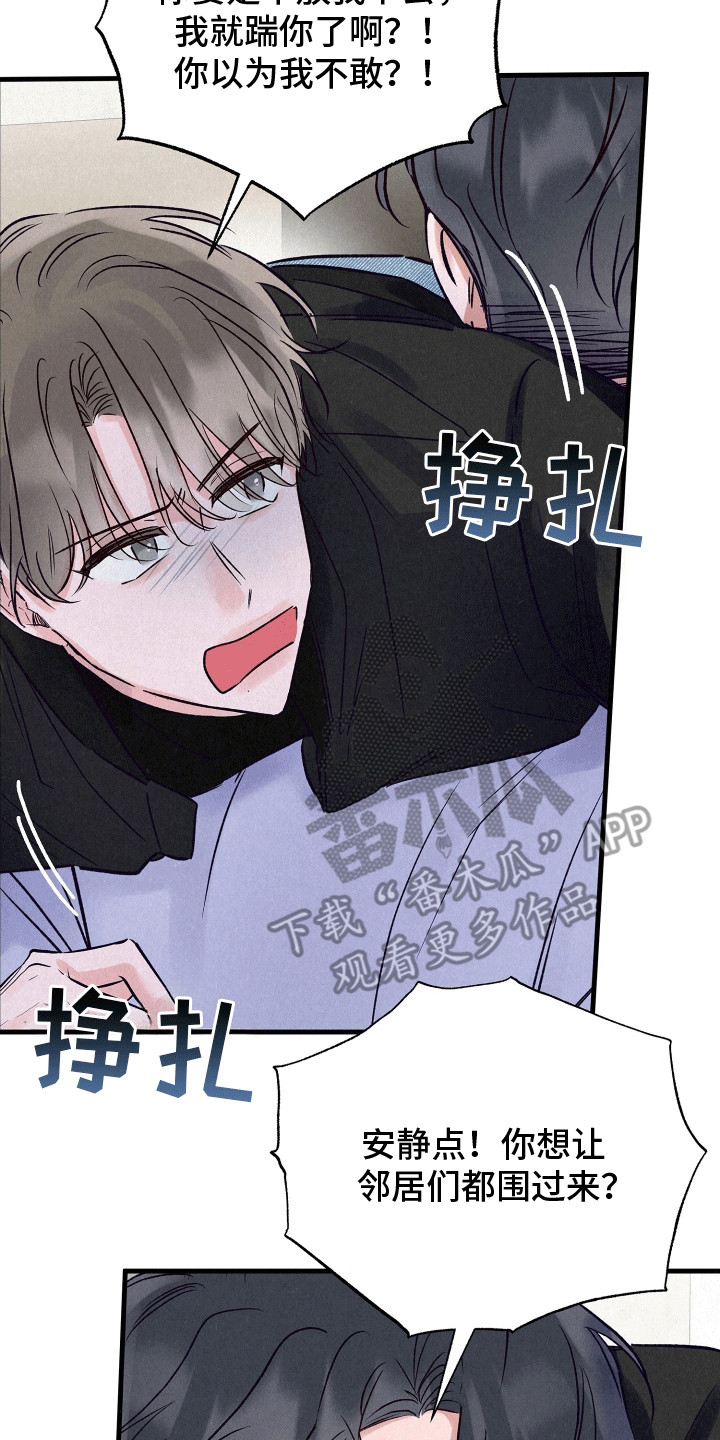双重浪漫调查