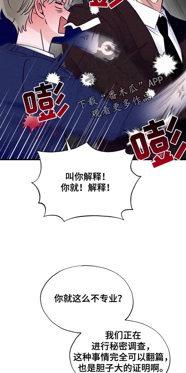 双重浪漫调查
