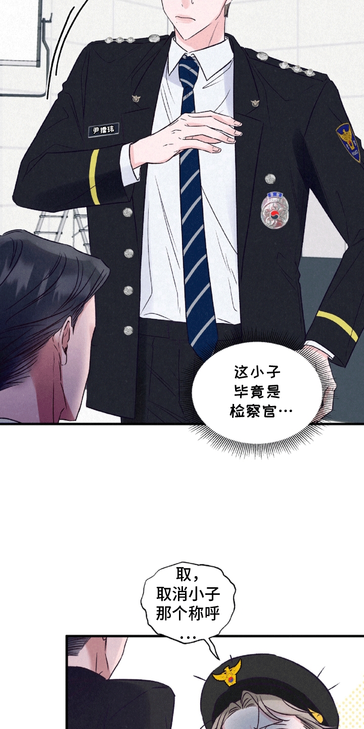 双重浪漫调查