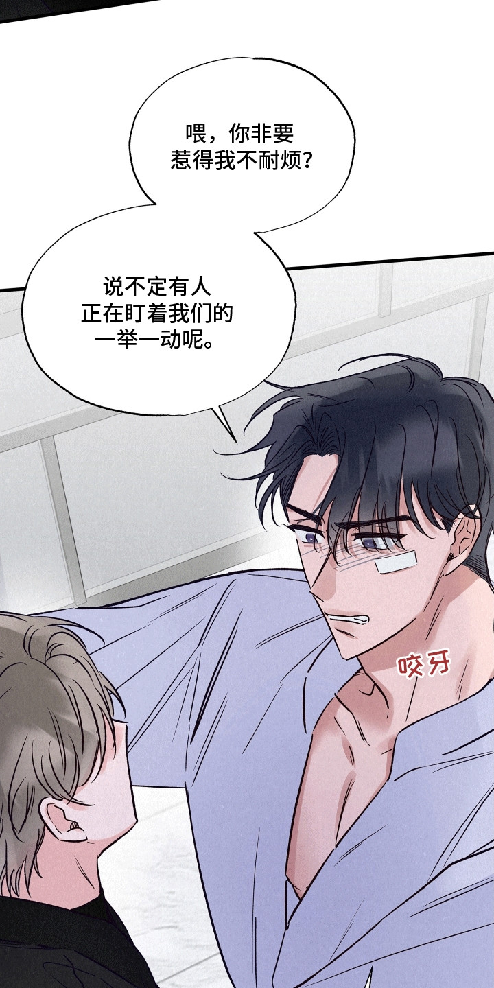 双重浪漫调查