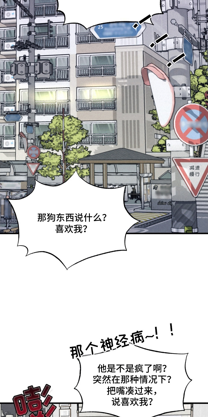 双重浪漫调查