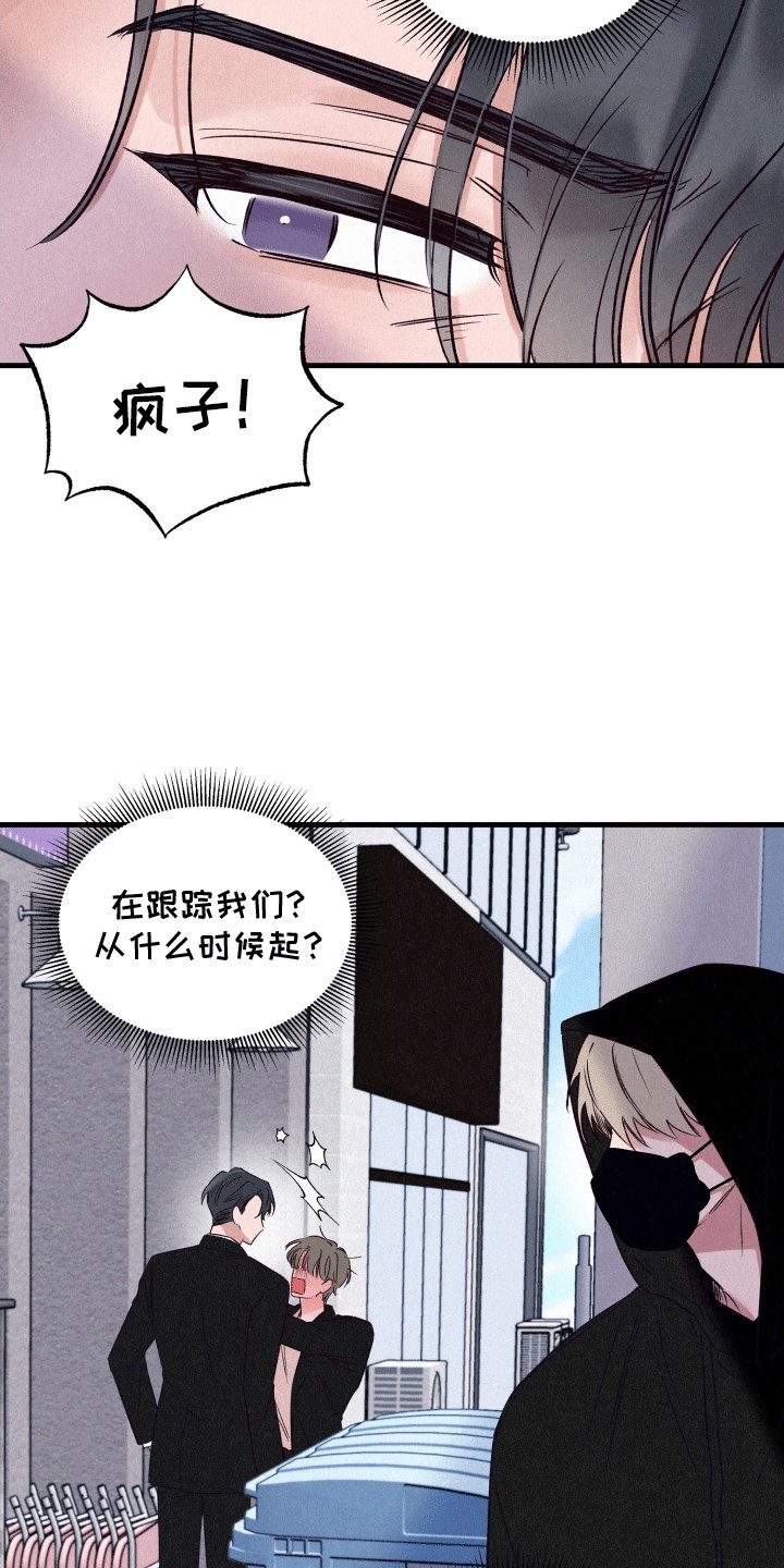 双重浪漫调查