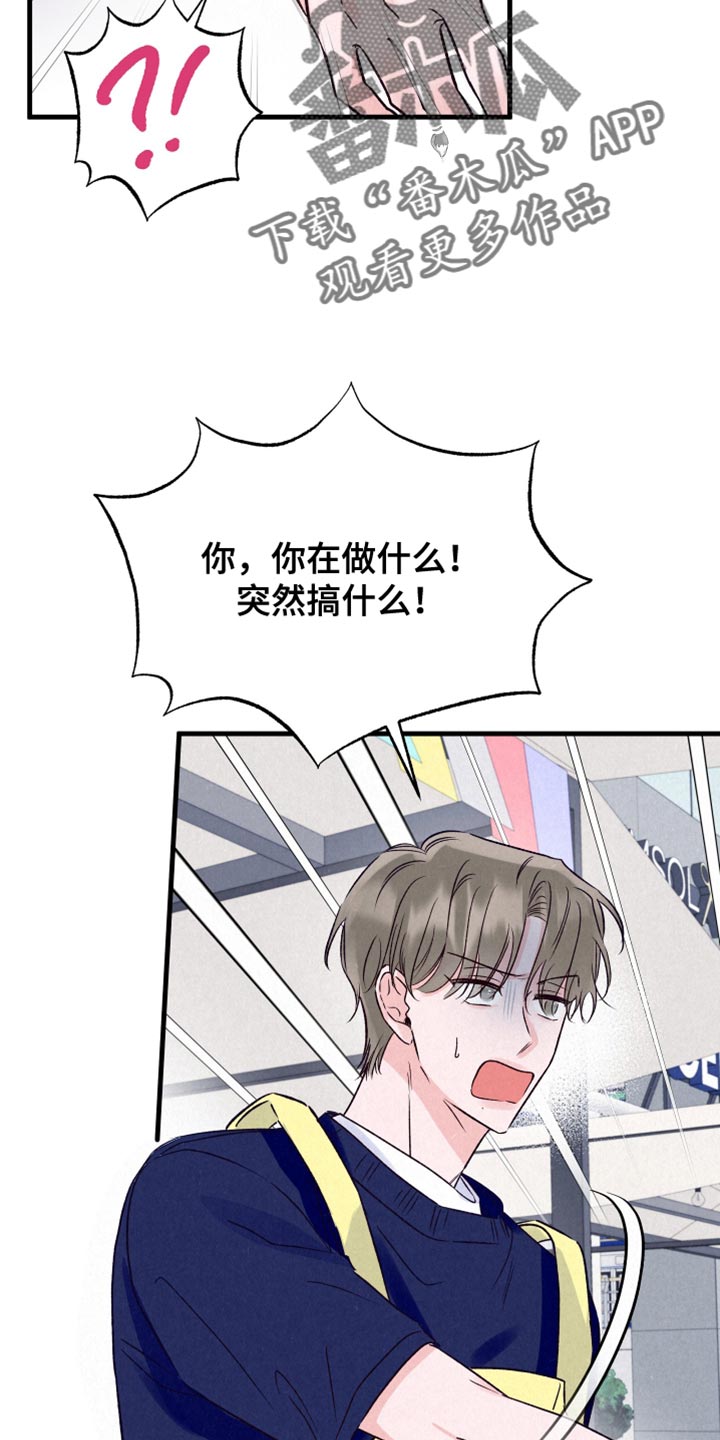 双重浪漫调查