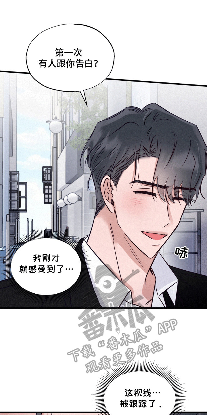 双重浪漫调查