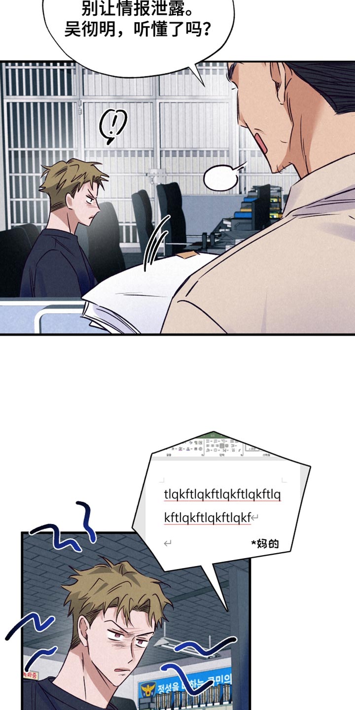 双重浪漫调查
