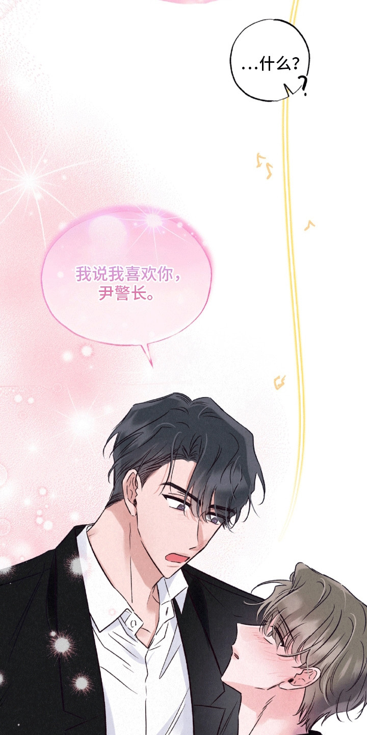 双重浪漫调查