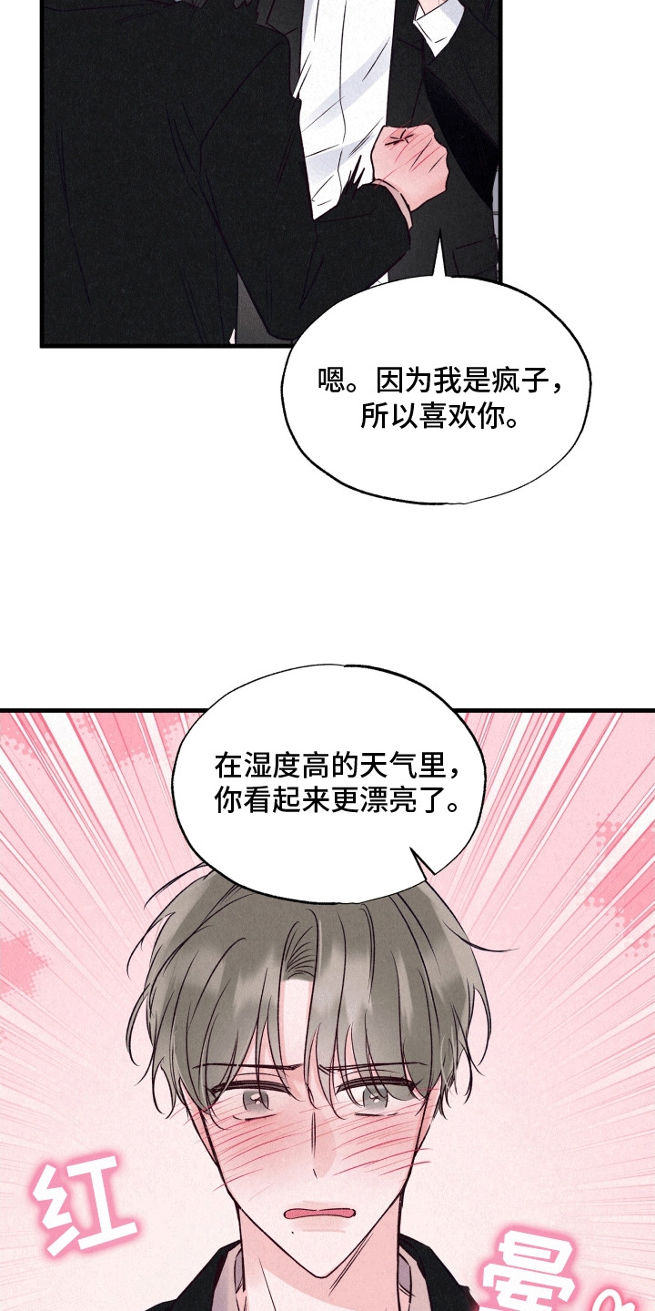 双重浪漫调查