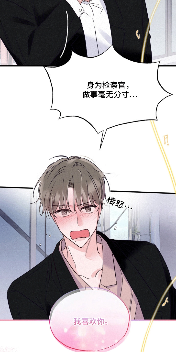 双重浪漫调查