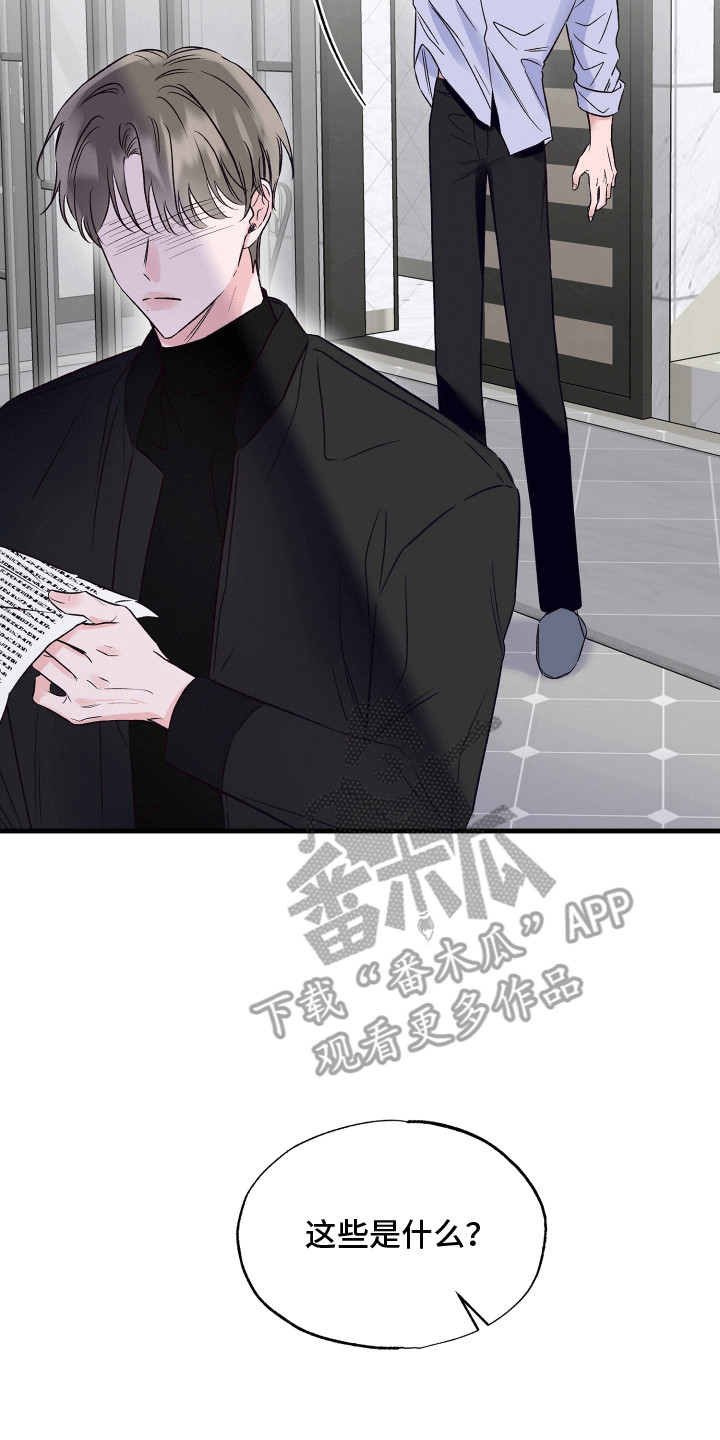 双重浪漫调查