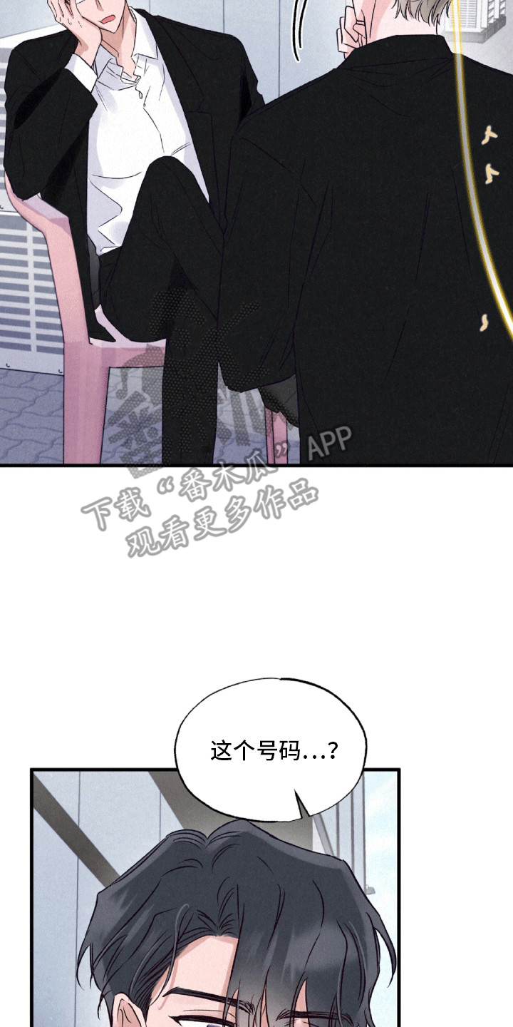 双重浪漫调查