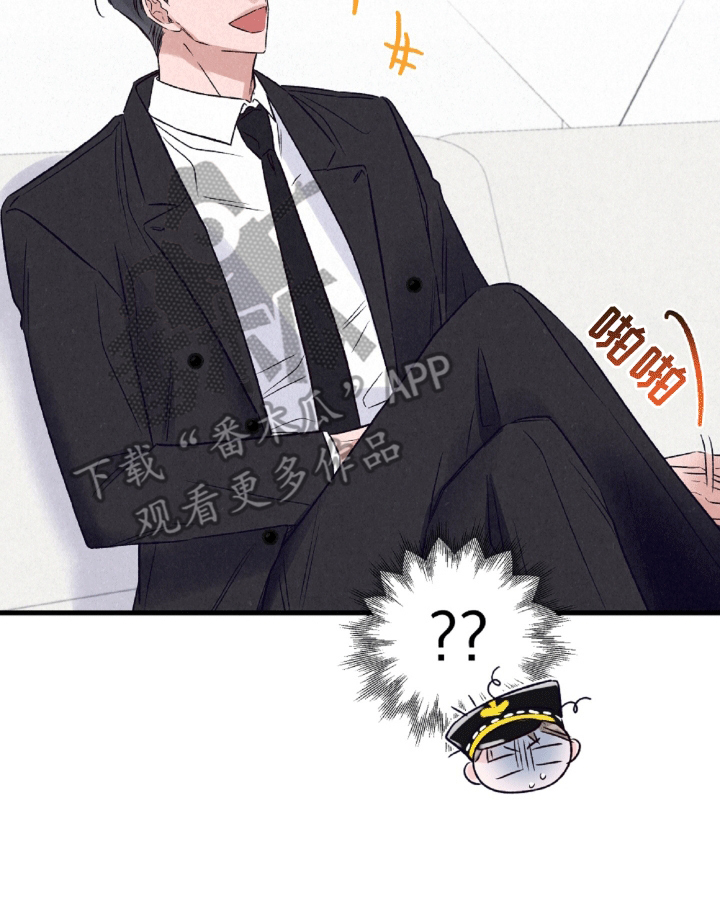 双重浪漫调查