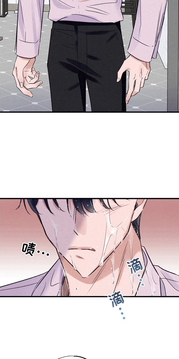 双重浪漫调查