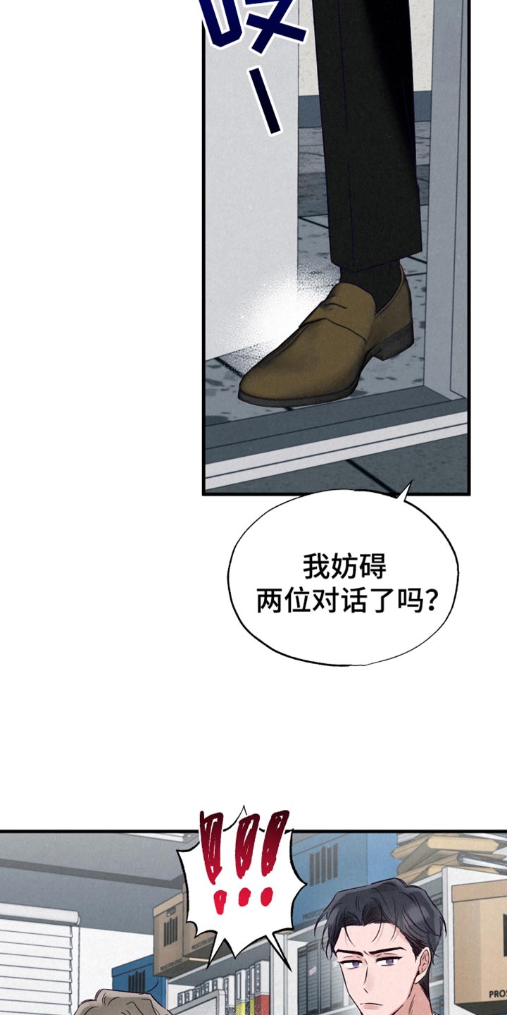 双重浪漫调查