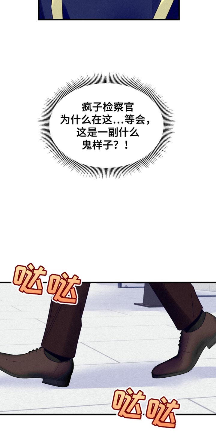 双重浪漫调查