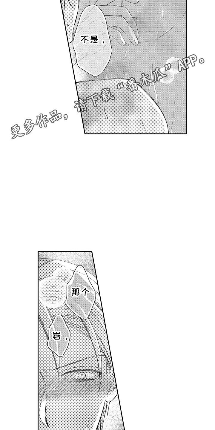17.jpg