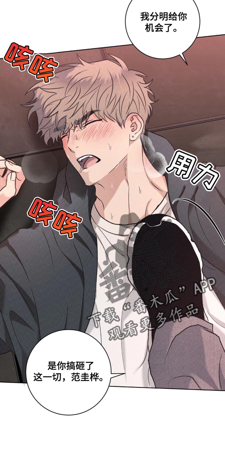 迟来的伴侣