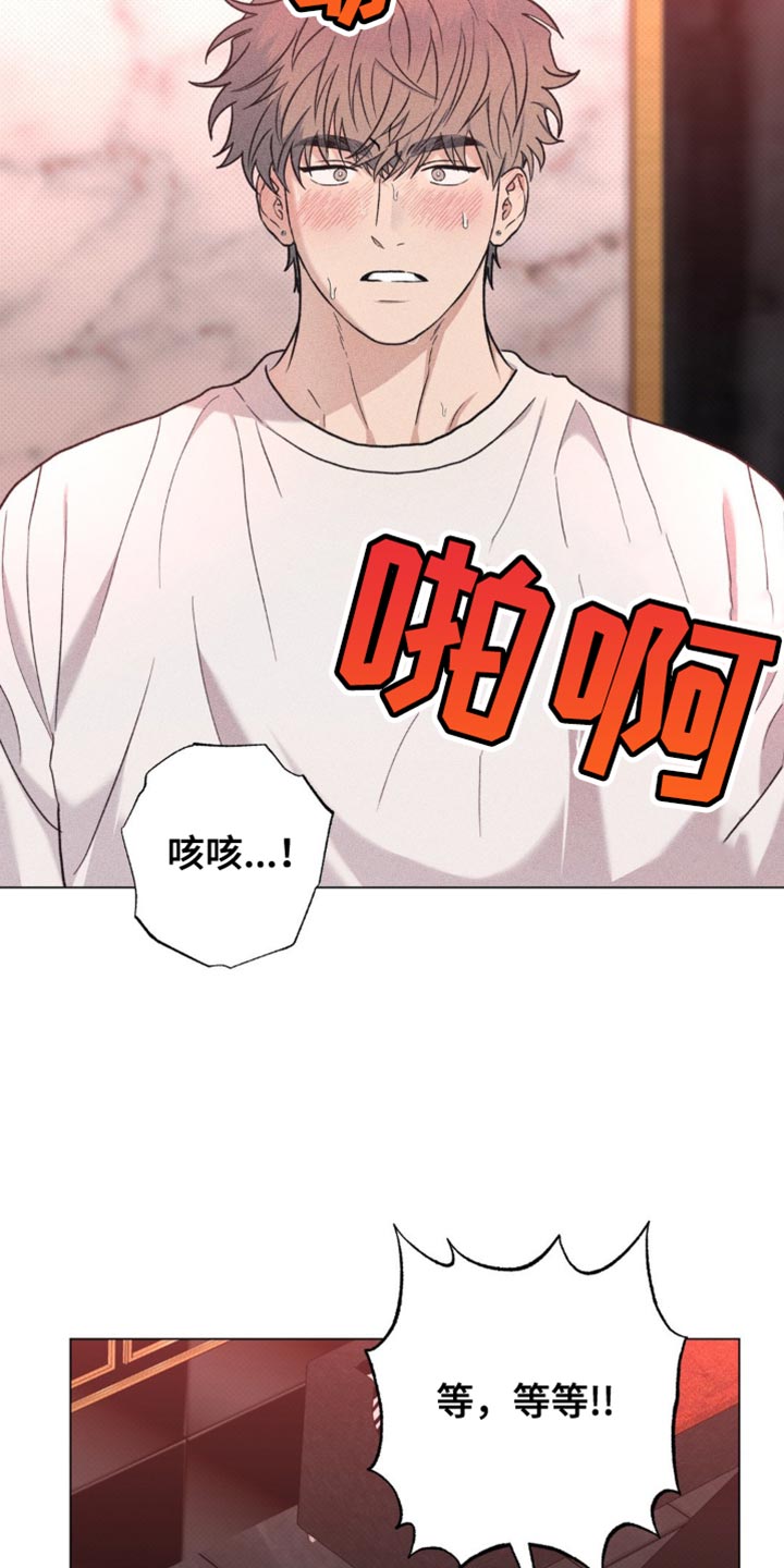迟来的伴侣