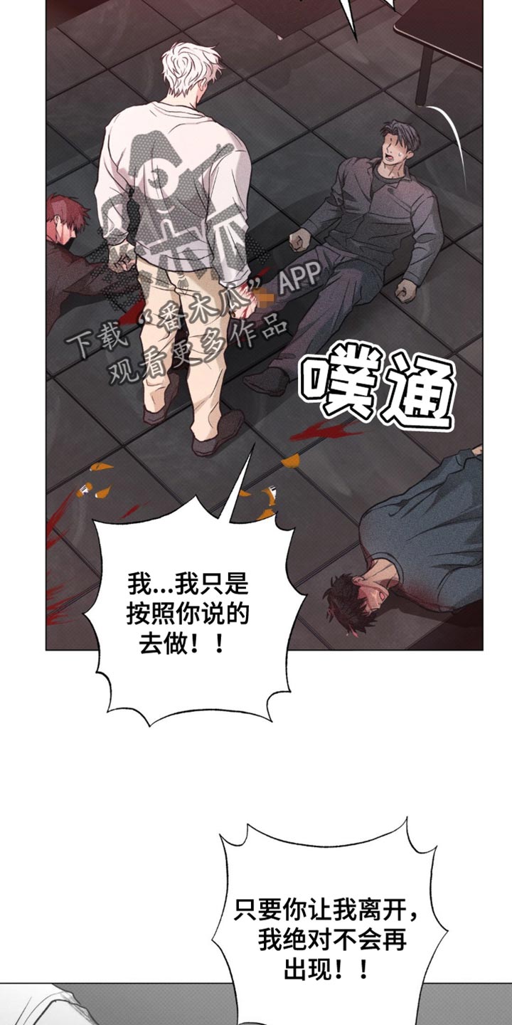 迟来的伴侣