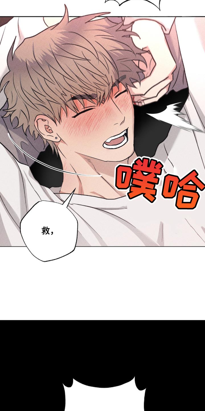 迟来的伴侣