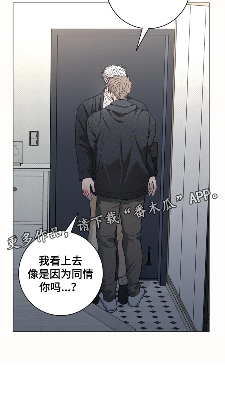 迟来的伴侣
