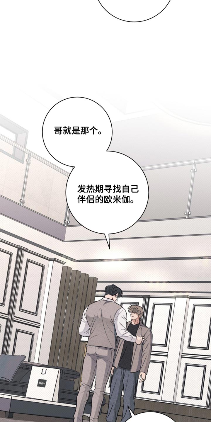 迟来的伴侣